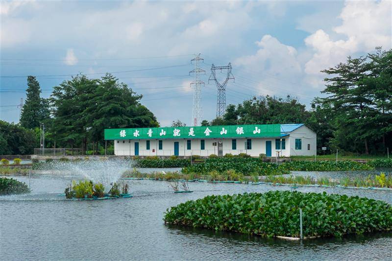 空气能热泵在水产养殖中对扇贝的影响_什么牌子的空气能好