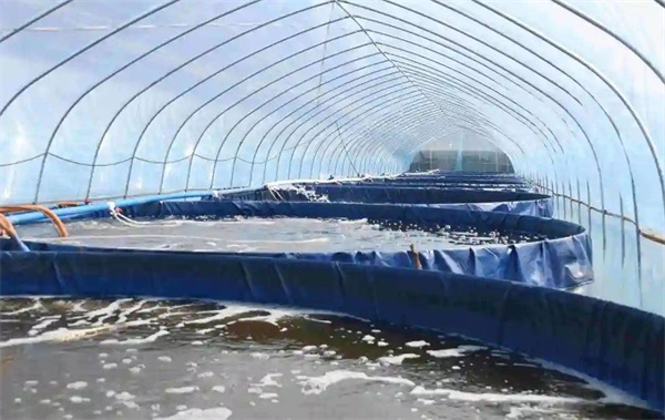 水产养殖用空气能供水设备的好处_附近空气能维修热线电话