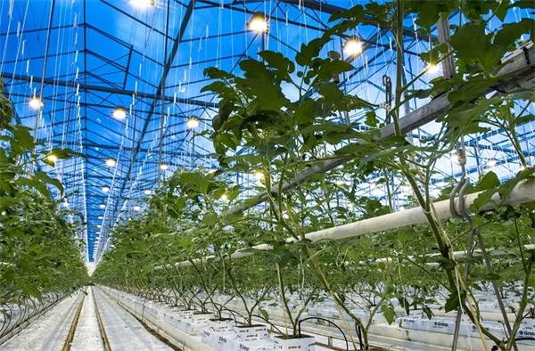 温室大棚安装恒温采暖设备的作用_空气能取暖器费电吗 一天多少度