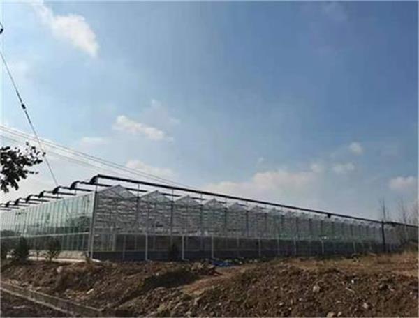 空气源热泵受农业大棚欢迎的采暖设备_空气能厂家联系方式